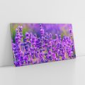 Obraz na płótnie 120x60 - Zaklęta lawenda - lawenda, kwiaty