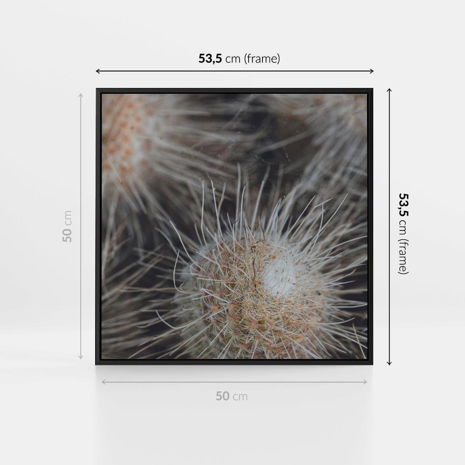 Obraz w ramie 50x50 - Ulotna Piękność Natury - makro, dmuchawce - rama czarna