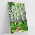 Obraz na płótnie 80x120 - Bajkowy las pełen brzóz - las, brzozy