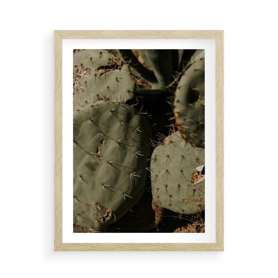 Plakat w ramie 50x70 - Urok Egzotyki - kaktusy, boho - rama drewno