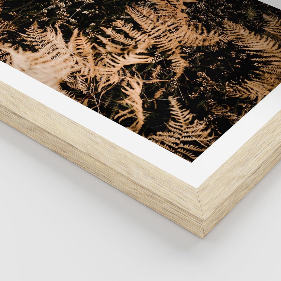 Plakat w ramie 50x70 - Jesienne Paprocie: Kolorowa Paleta Natury - paprocie, jesień - rama drewno