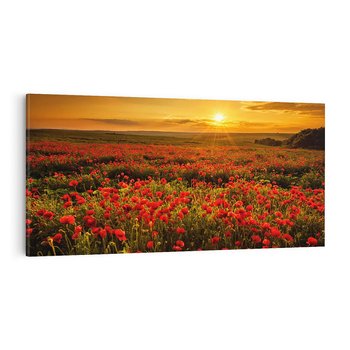 Obraz na płótnie 120x60 - Makowe uczucia - maki, kwiaty