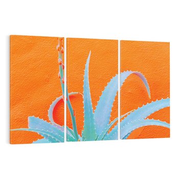 Obraz na płótnie 120x80 - Naturalna Harmonia - kaktusy, liście