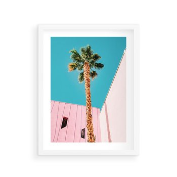 Plakat w ramie 50x70 - Palma w Miami - palma, miami - rama biała