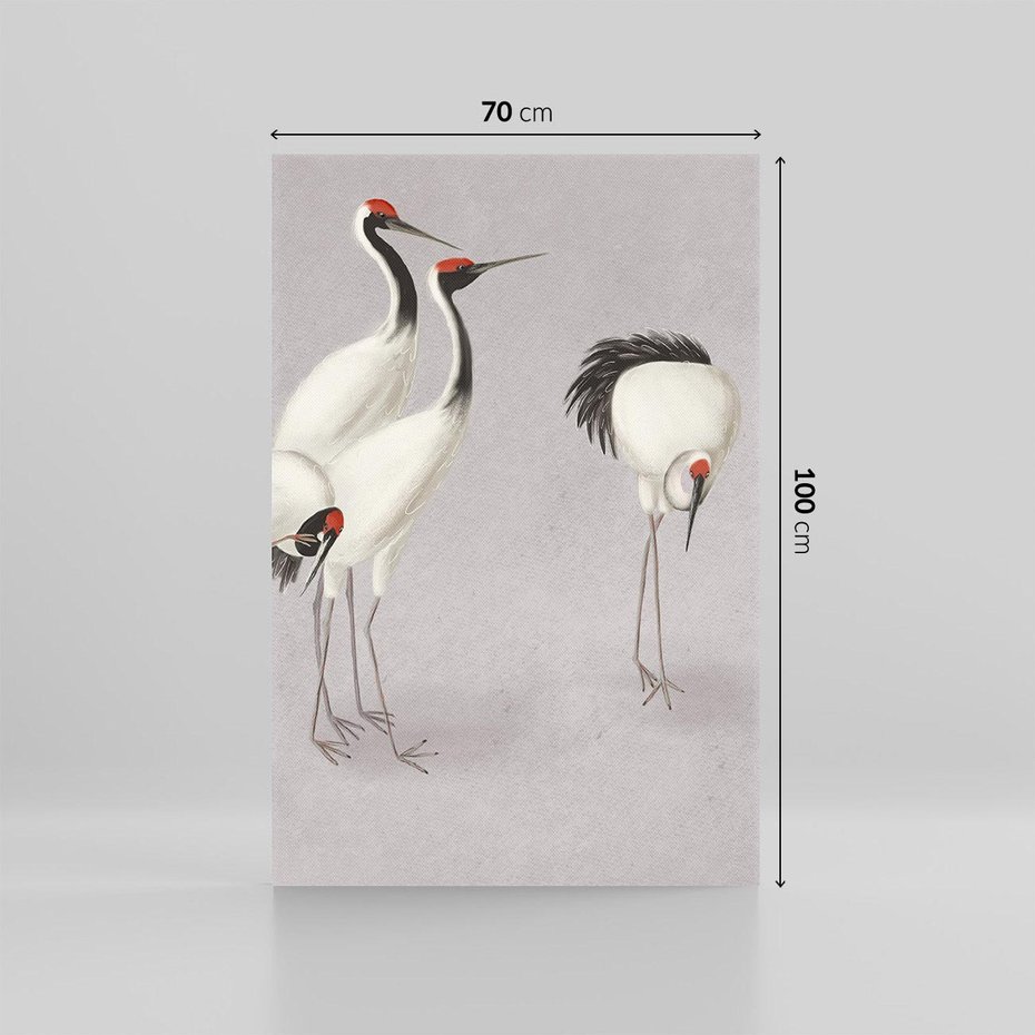 Obraz na płótnie 70x100 - Spojrzenie wstecz w pędzlu - szkic rysunek, japońskie żurawie