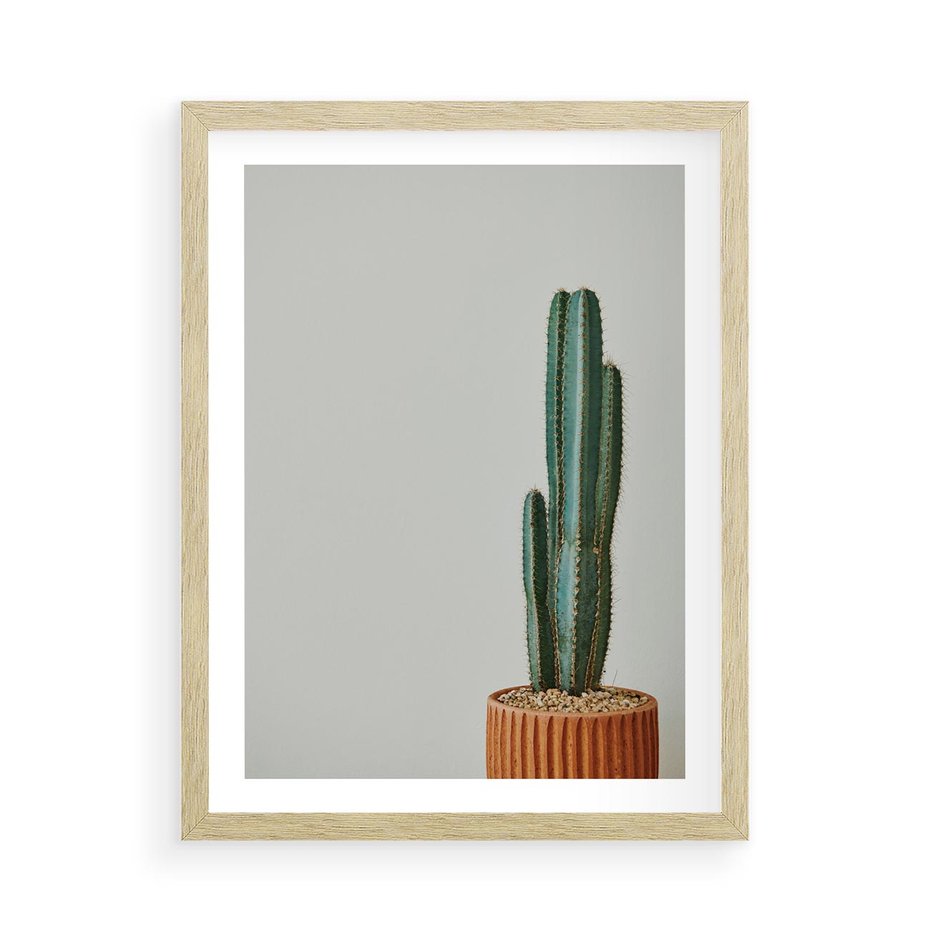 Plakat w ramie 50x70 - Zieleń i Subtelność - kaktusy, liście - rama drewno