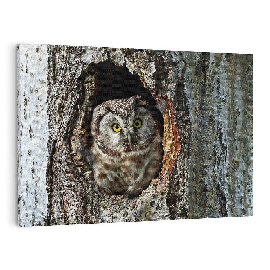 Obraz na płótnie 120x80 - Tajemniczy W świecie Nocy - sowa, dziupla