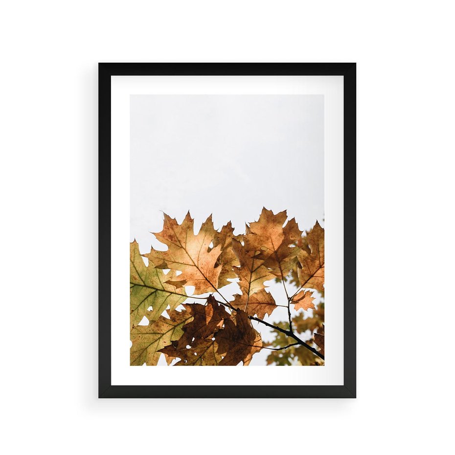 Plakat w ramie 30x40 - Suche Żółte Liście w Malowniczym Ujęciu - liście, żółte - rama czarna