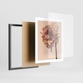 Plakat w ramie 40x50 - Delikatne piękno - suche, kwiaty - rama czarna