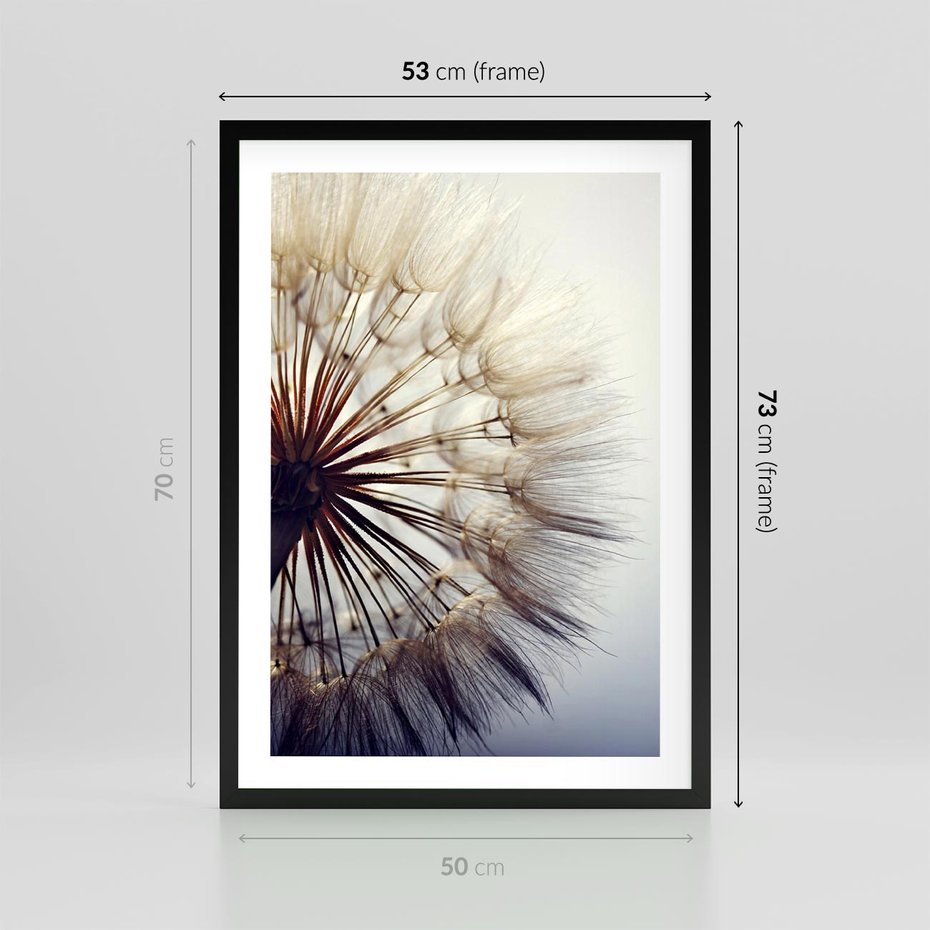 Plakat w ramie 50x70 - Makro piękno dmuchawca - makro, dmuchawiec - rama czarna