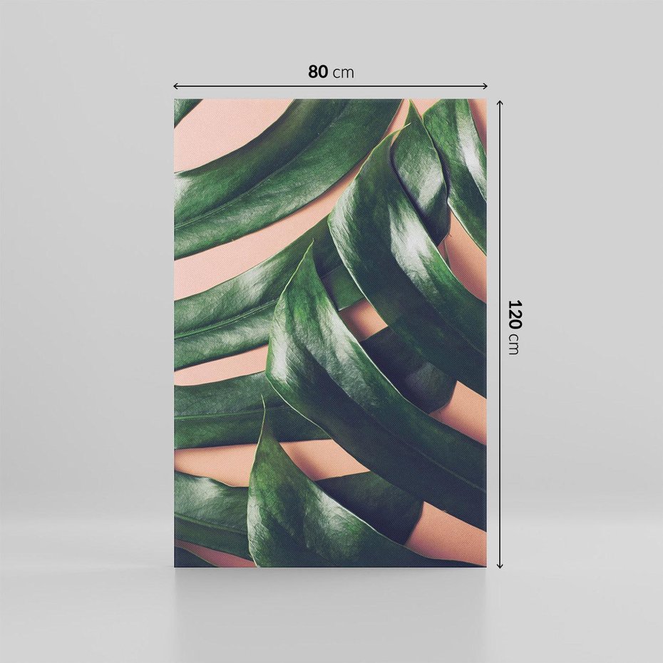 Obraz na płótnie 80x120 - Monstera Liście - monstera, liście