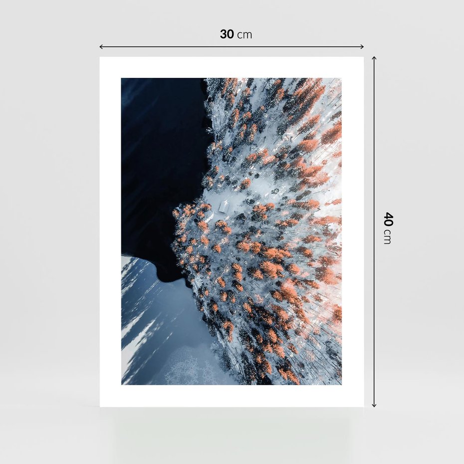 Plakat bez ramy 30x40 - Lot Ptaka - zima, zimowy krajobraz