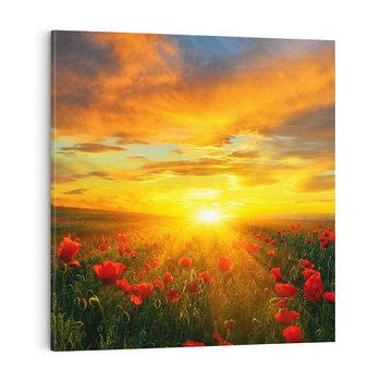 Obraz na płótnie 40x40 - Magia zachodu słońca na łące z makami - łąka, zachód słońca