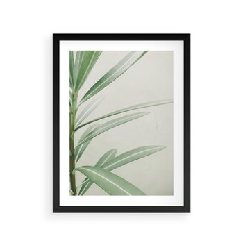 Plakat w ramie 40x50 - Minimalistyczna Tropikalna Harmonia - tropikalna roślina, zielone liście - rama czarna