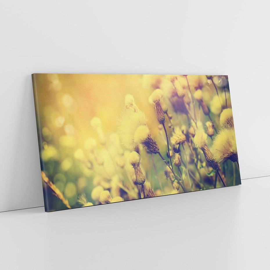 Obraz na płótnie 120x60 - Natura w pełnym rozkwicie - łąka, natura