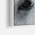 Obraz w ramie 50x50 - Oko Mocy - czarno białe zdjęcie, zbliżenie makro na oko konia - rama biała