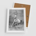 Plakat w ramie 50x70 - Elegancja w Czarno-Białym - koń, biało - rama biała