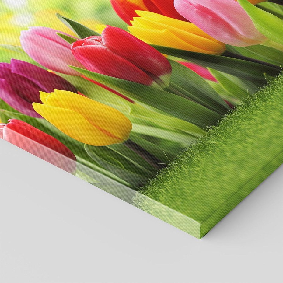 Obraz na płótnie 40x40 - delikatność kwiatowego świata - tulipany, kwiaty