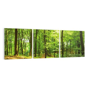 Obraz na płótnie 150x50 - Mistyka leśnych drzew - las, drzewa