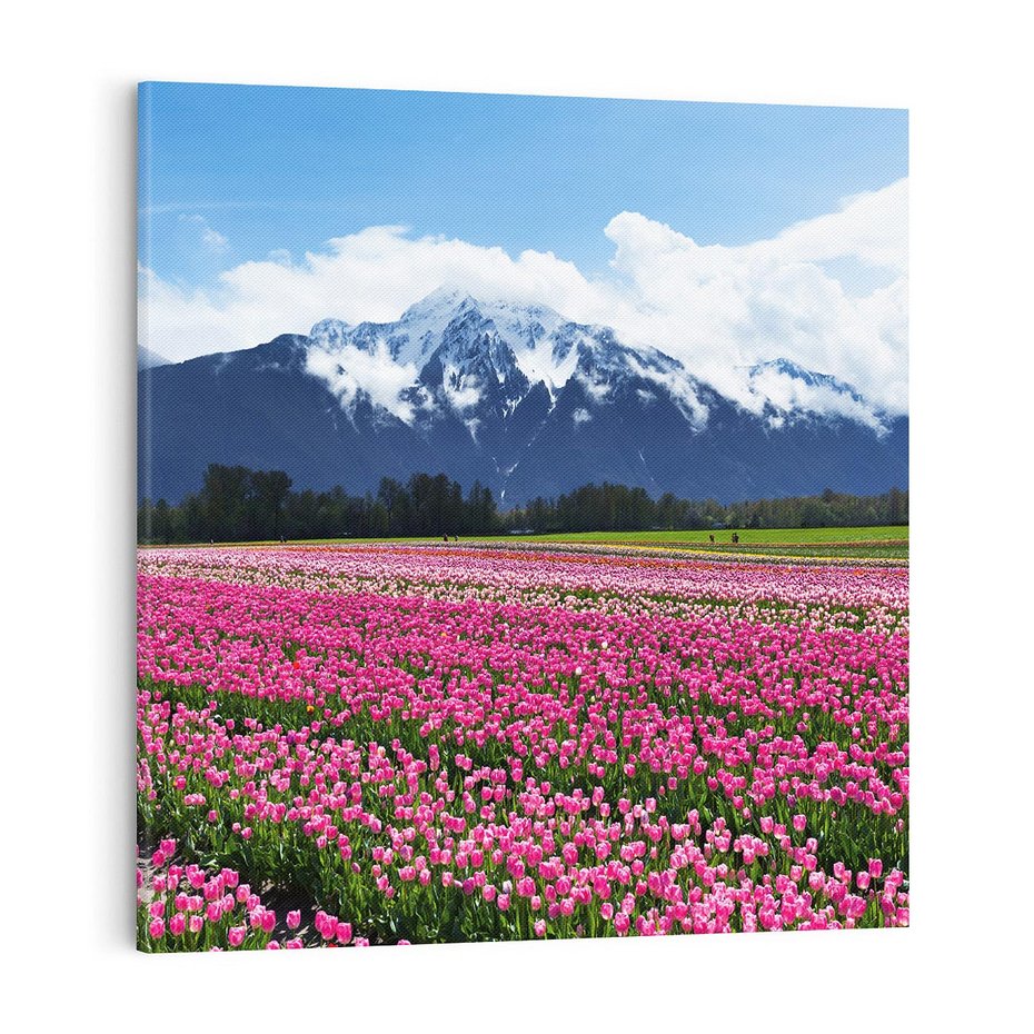 Obraz na płótnie 50x50 - Tulipany w malowniczym krajobrazie" - tulipany, krajobraz