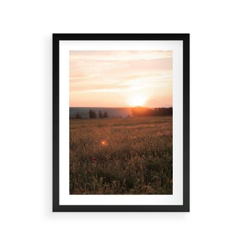 Plakat w ramie 40x50 - Łąka we Wschodzącym Słońcu: Magia Poranka - łąka, krajobraz - rama czarna