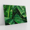 Obraz na płótnie 120x80 - Zaklęta roślinna ekspresja - liście bananowca, gęsto ułożone