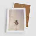 Plakat w ramie 50x70 - Samotna Palma pod Niebem - samotna palma, na tle nieba - rama biała