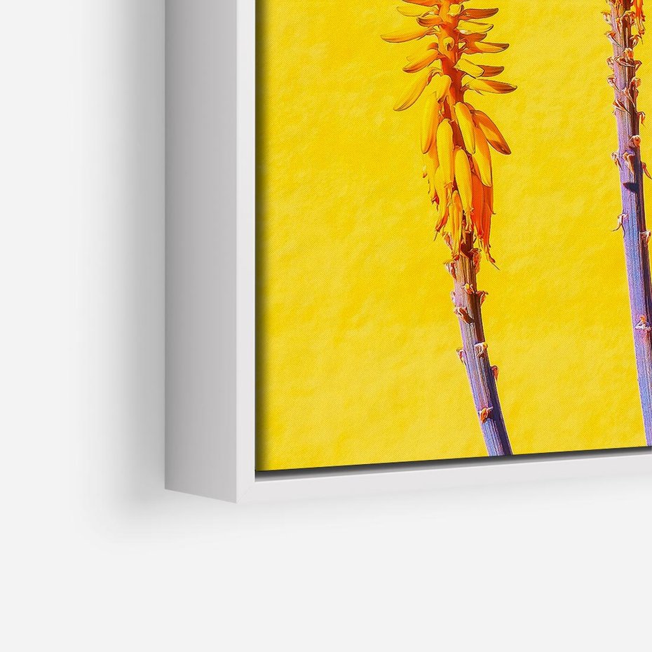 Obraz w ramie 50x50 - Radość Natury - kolor, kwiaty - rama biała