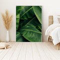 Obraz w ramie 70x100 - Zaklęta roślinna ekspresja - liście bananowca, gęsto ułożone - rama biała