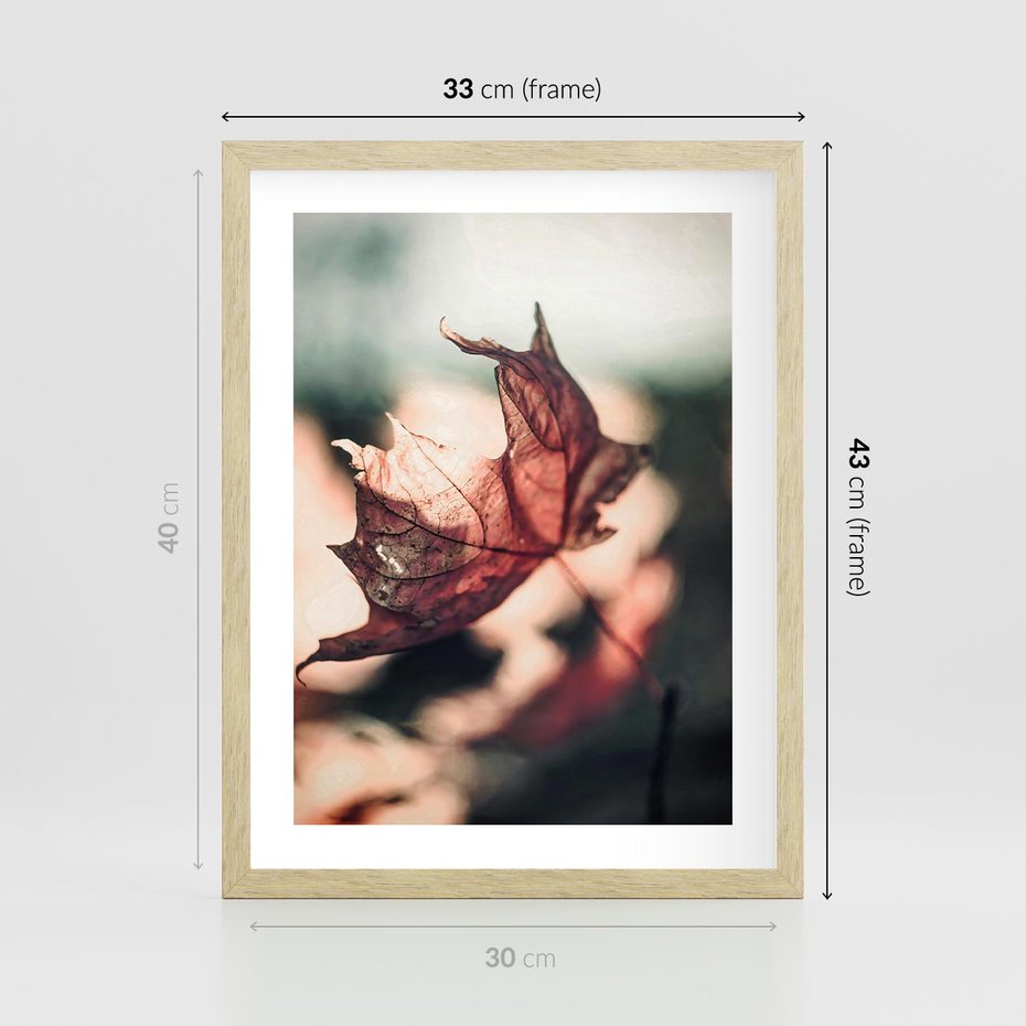 Plakat w ramie 30x40 - Liść w Jesieni - jesienny liść, czerwony - rama drewno