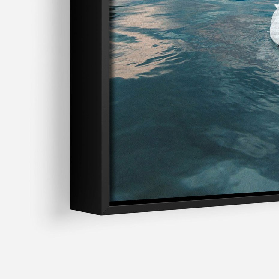 Obraz w ramie 70x100 - Łabędzi Śpiew - fotografia, plakat - rama czarna