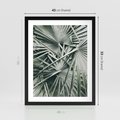 Plakat w ramie 40x50 - Palmy w Zgaszonej Zieleni - palmy, tropikalne liście - rama czarna