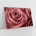 Obraz na płótnie 100x70 - Romantyczna Róż - róża, kwiat