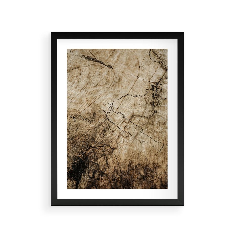 Plakat w ramie 30x40 - Słoje Natury - słoje drzewa, pieńdrzewa - rama czarna