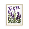 Plakat w ramie 30x40 - Fioletowa harmonia lawendy - lawenda, fiolet - rama drewno