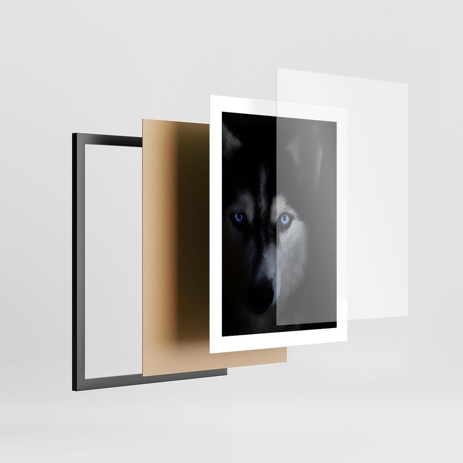Plakat w ramie 30x40 - Wilk i husky: siła przyjaźni - wilk, husky - rama czarna