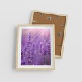 Plakat w ramie 40x50 - Fioletowa harmonia lawendy - lawenda, fiolet - rama drewno