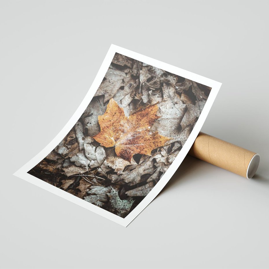 Plakat bez ramy 21x30 - Jesienne Czarowanie - suchy liść, żółty