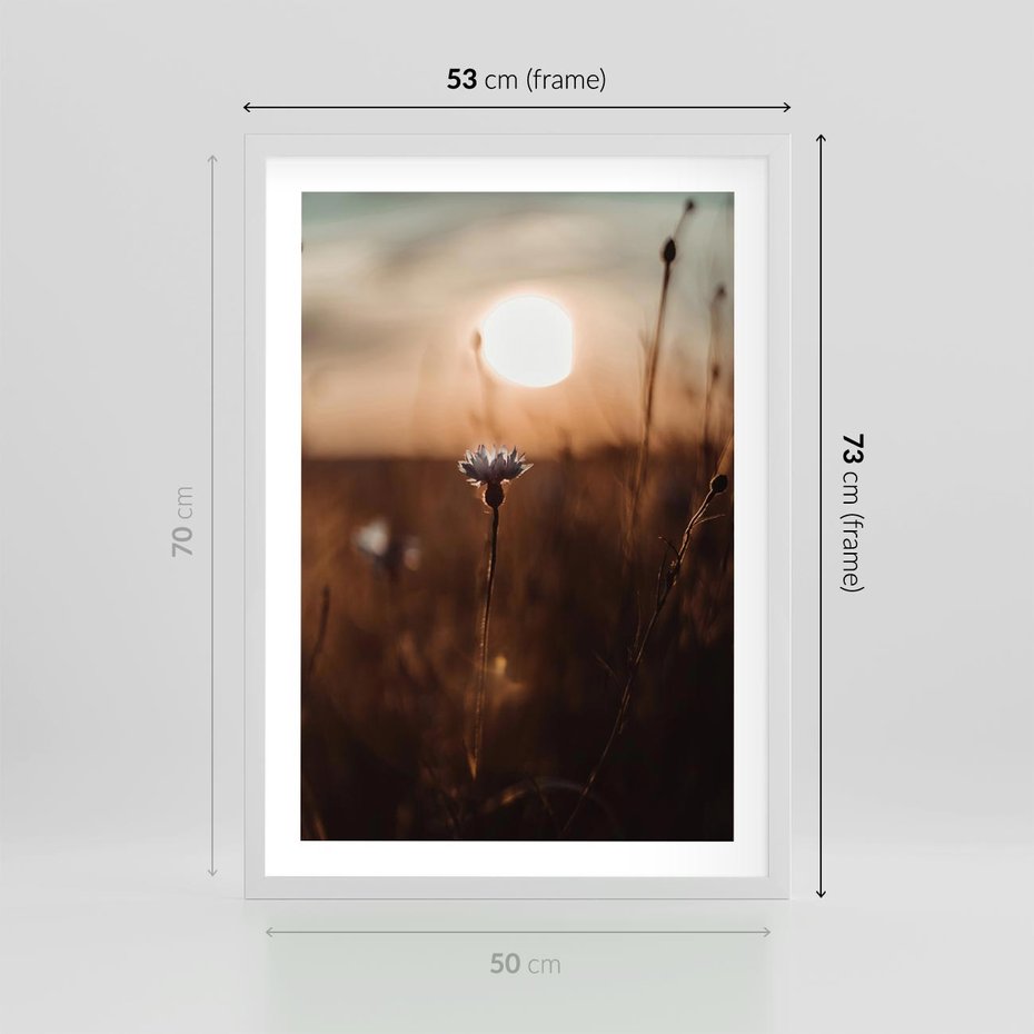 Plakat w ramie 50x70 - Spokój łąki pod zachodem słońca - zachód, słońca - rama biała