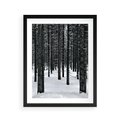 Plakat w ramie 40x50 - Zimowe Drzewa: Śnieg na Pniach - drzew w zimi, pnie drzew - rama czarna
