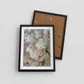 Plakat w ramie 30x40 - Kwiatowy taniec - kwiaty, hortensje - rama czarna