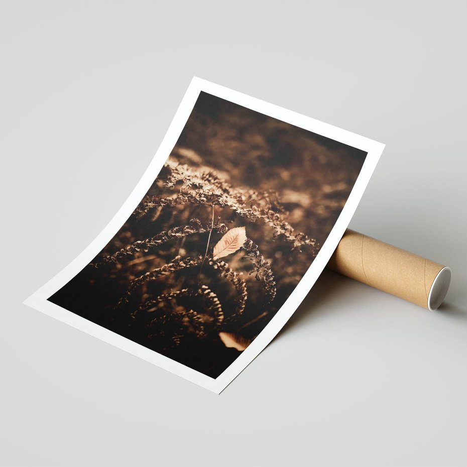 Plakat bez ramy 21x30 - Gałęzie i Liść w Brązowej Tonacji - suche gałęzie, liść