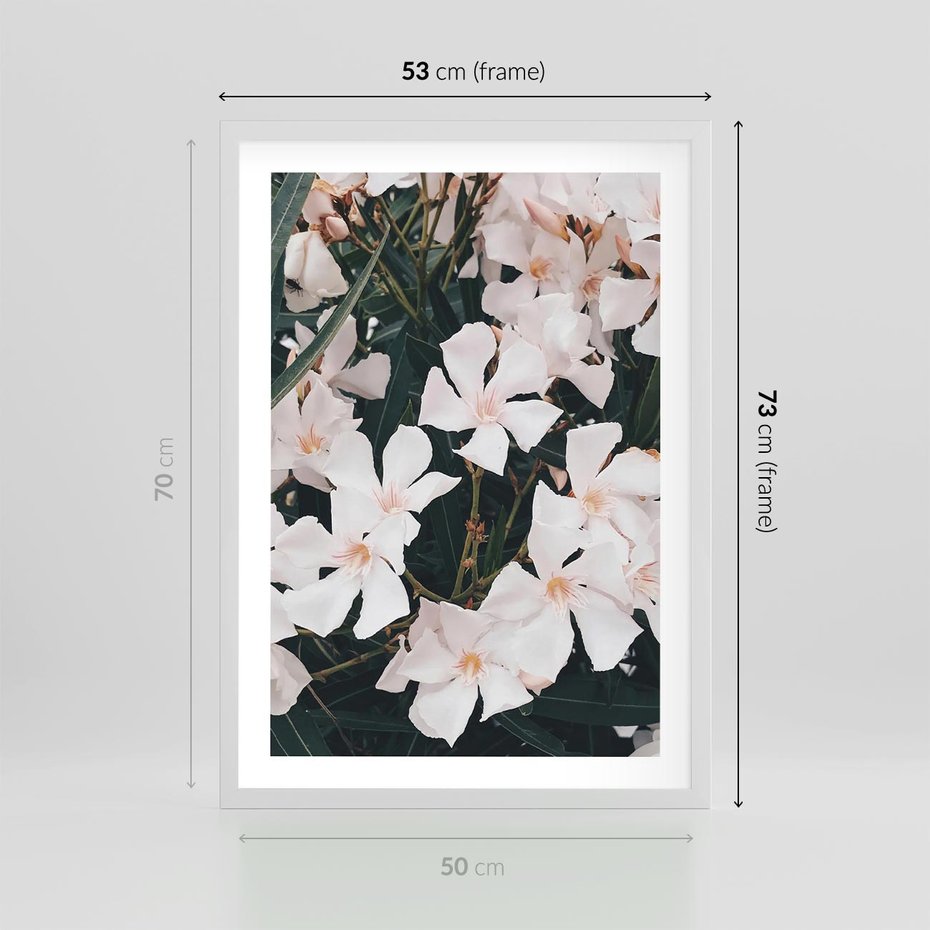 Plakat w ramie 50x70 - Egzotyczna Uroda - białe kwiaty, tropikalne kwiaty - rama biała