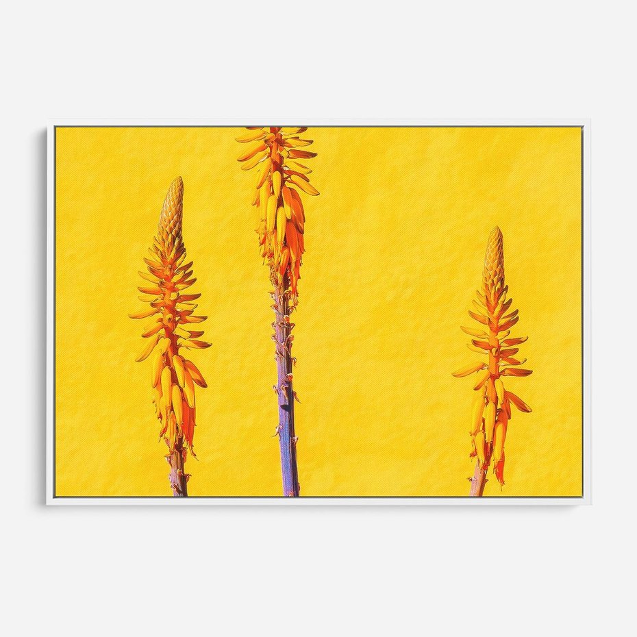 Obraz w ramie 120x80 - Radość Natury - kolor, kwiaty - rama biała