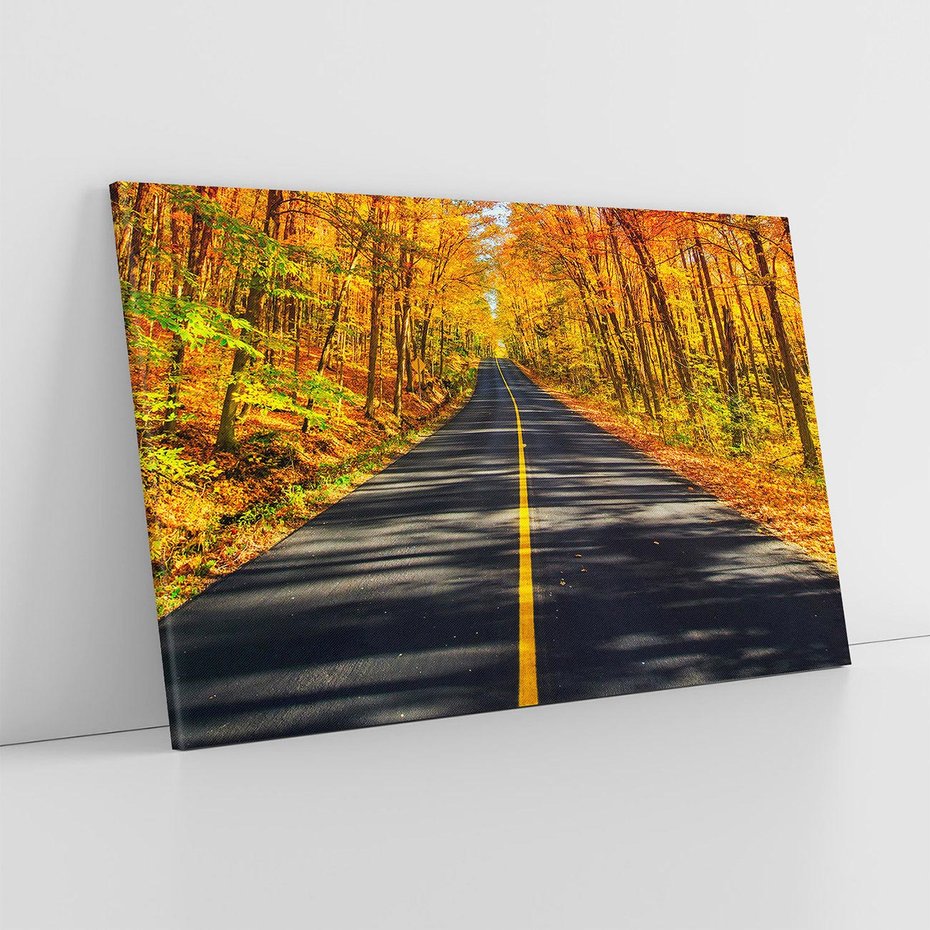 Obraz na płótnie 70x50 - Droga przez jesienny las - droga, las