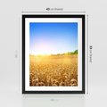 Plakat w ramie 40x50 - Żyzne Pola - pole, pszenicy - rama czarna