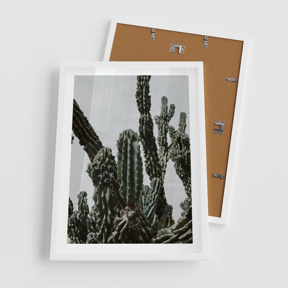Plakat w ramie 50x70 - Boho oaza wśród kaktusów - kaktusy, pustynia - rama biała