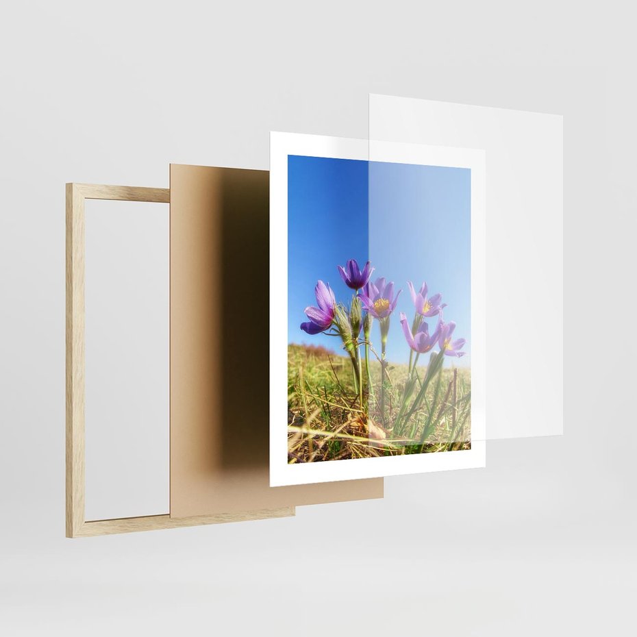 Plakat w ramie 40x50 - Kwiatowa siła łąki - kwiaty, łąka - rama drewno