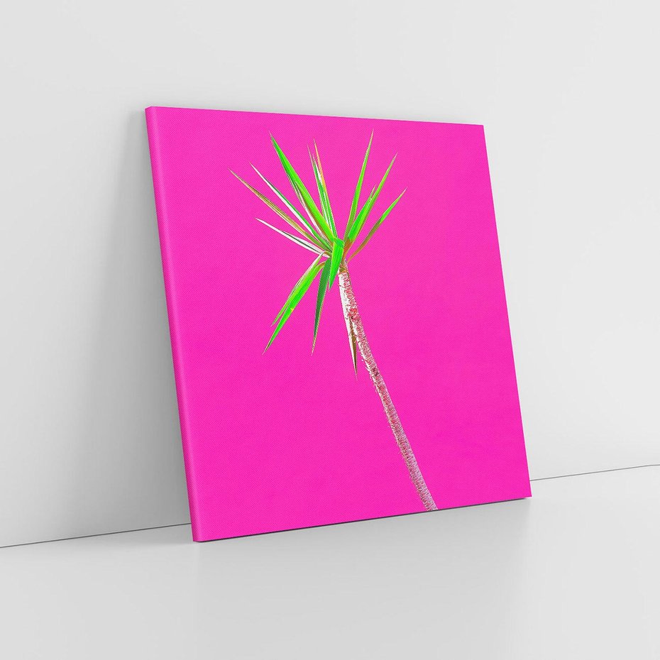 Obraz na płótnie 50x50 - Retro Stylizacja - palma, liście