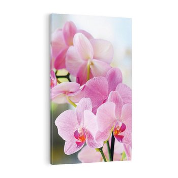 Obraz na płótnie 80x120 - Elegancja orchidei - orchidea, kwiaty